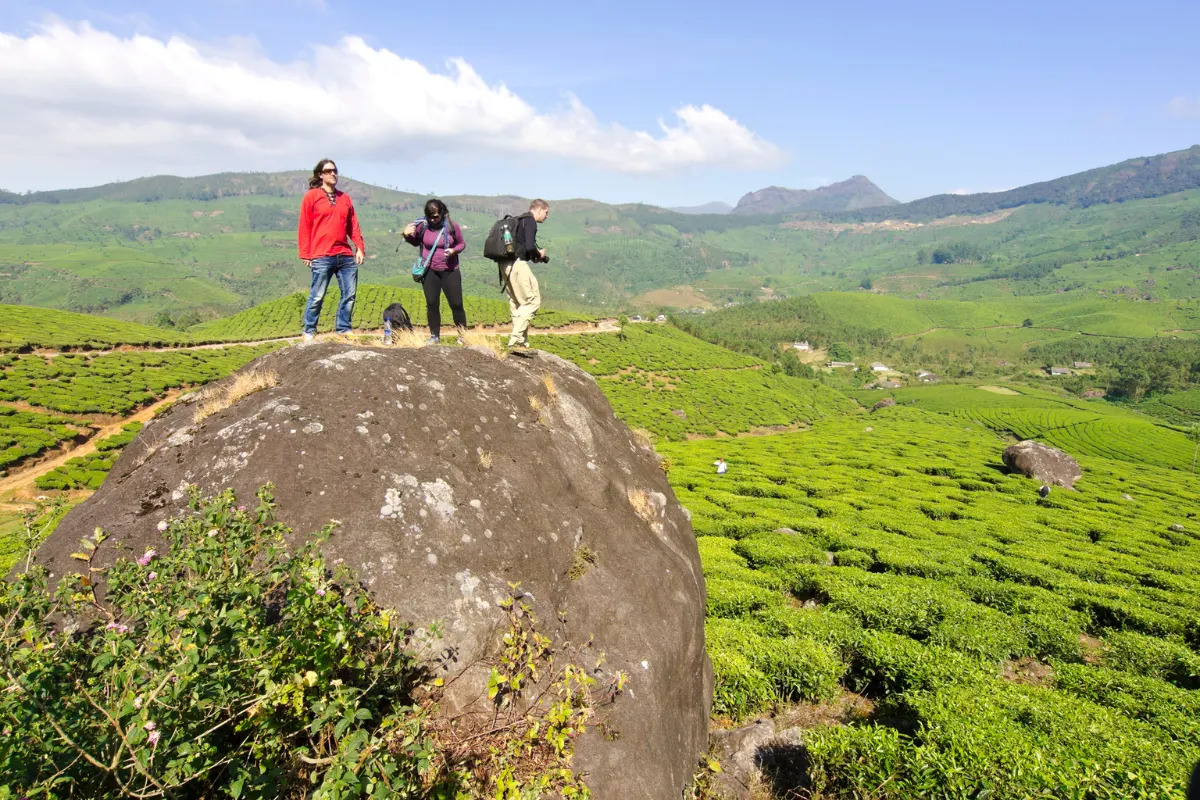 discover-munnar-tea-plantations