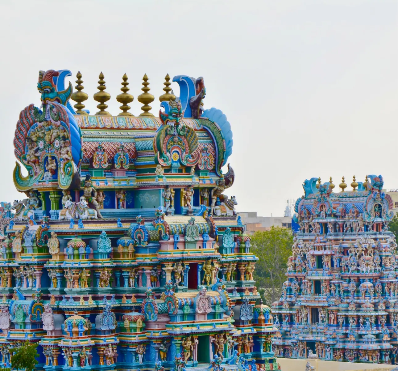 circuits en Inde du Sud