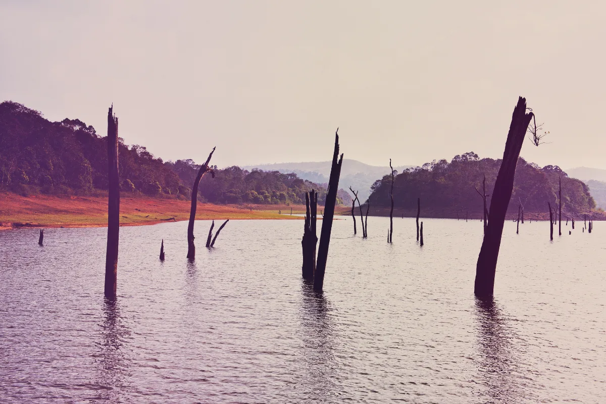 Voyage en Inde du Nord